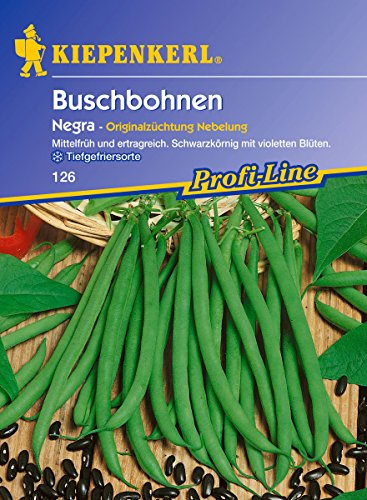 Sperli Gemüsesamen Buschbohnen Negra, grün
