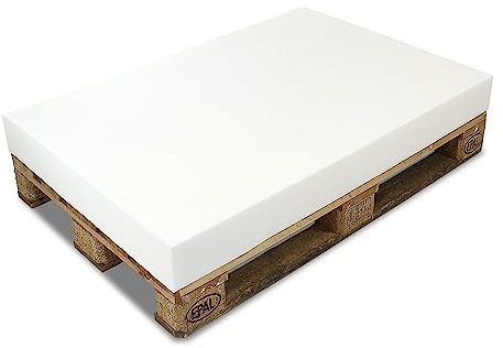 MSS e.K. PALETTENKISSEN MATRATZENKISSEN (120 x 80 x 12 cm) Schaumstoff FÜR EUROPALETTE/Auflage