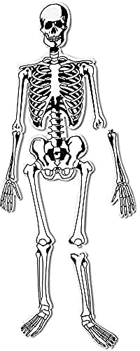 Learning Resources Skeleton Foam Floor Puzzle