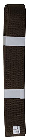 lisaro Premium Budogürtel, Kampfsportgürtel,Kampfsportgürtel für Karate Judo Taekwondo Ju-Jutsu BJJ | Gr. 160-320 cm | 4 cm breit