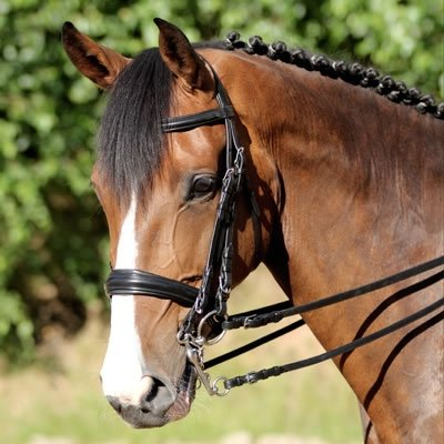 Euroriding Kandare Philadelphia Natural Line, Farbe: schwarz, Große: COB