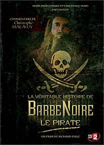 La Véritable histoire de Barbe Noire le pirate [Francia] [DVD]