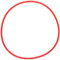 Olympus POL-053 O-Ring per Custodia Subacquea PT-053, Rosso
