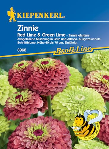 Kiepenkerl Profi-Line Zinniensamen Red Lime & Green Lime 3968 - Ausgefallene Mischung - Schnittblume - 60-75cm Wuchshöhe - Blumensamen Mischung, Saatgut