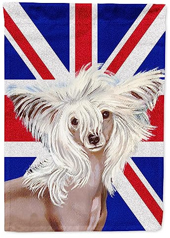 Caroline S Treasures Lh9501gf Chinois à crête avec English Drapeau Britannique Union Jack, Petite, Multicolore