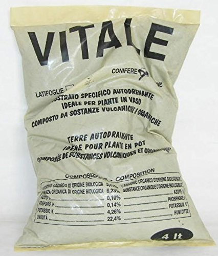 Vital substrat autodrenante avec Lapillo conifères de 4 Lt.