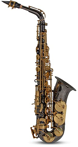 Roy Benson Eb-Alt Saxophon AS-202K (Premium Messing-Korpus & Hoch F#-Klappe, inkl. Mundstück, Putztuch & Tragegurt, leicht transportierbares Rechtecketui, mit praktischer Rucksackgarnitur), Anthrazit