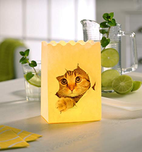 LUMINARIA Lichtertüte Katze - 4-teilig, Windlicht, Papier, 9 x 26 x 15 cm, Mehrfarbig Lichttüten Candlebags Dekoration Licht Teelichthalter