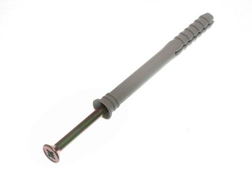 10 Of Hammer Fixing With Nylon Wall Plug M10 X 100Mm