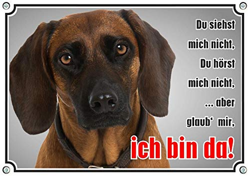Petsigns Hundeschild - Bayerischer Gebirgsschweißhund - Metallschild wetterfest und uv-beständig, DIN A4