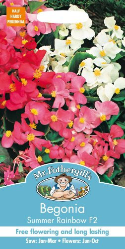 Mr Fothergills - Pictorial Packet - Flower - Begonia Summer Rainbow F2 - 2000 Seeds