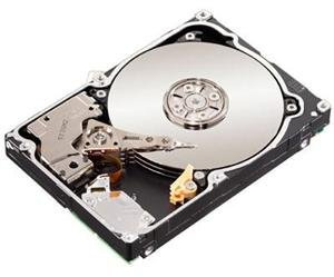 Seagate Bulk ST9500620NS 500GB 7200 RPM SATA 2.5'' Hard Drive (ST9500620NS)