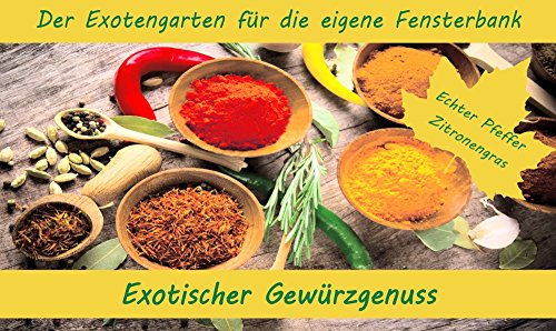 SAFLAX - Anzuchtset - Exotischer Gewürzgenuss - Mit 2 Samensorten, Gewächshaus, Anzuchtsubstrat, Zellfasertöpfen zum Umtopfen und Anleitung