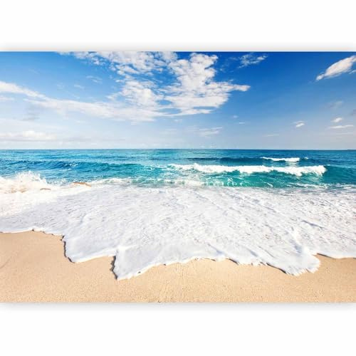 Fotomurales B&D XXL - 400x280 cm XXL Papel pintado tejido no tejido Decoración de Pared decorativos Murales moderna de Diseno Fotográfico - playa mar naturaleza c-B-0035-a-a #01