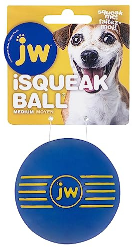 JW JW43031 Isqueak Ball, Quietschen Dicker Gummiball für Hunde, M
