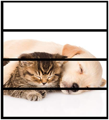 Wallario Möbelfolie/Aufkleber, geeignet für IKEA Malm Kommode mit 4 Schubfächern - Klebefolie Katze und Hund in Harmonie - Kuschelnde Tiere