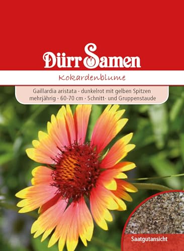 Dürr-Samen - Kokardenblume dunkelrot mit gelben Spitzen mehrjährig Saatgut
