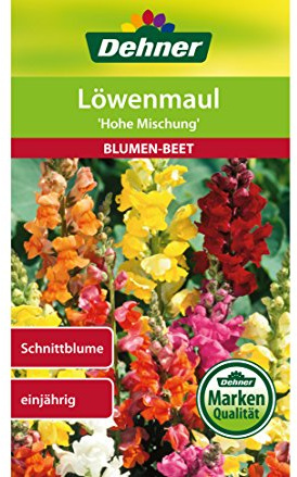 Dehner Blumen-Saatgut, Löwenmaul Hohe Mischung, 5er Pack (5 x 0.6 g)