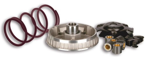 MALOSSI Variatore Multivar 2000, per Peugeot 125-150 Elyseo, 4T LC 20 x 17 mm, 6 ruote, 8,5 g