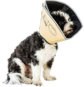 All Four Paws Comfy Cone Pet Cone for Dogs, Cats, X-Large, Tan - Comfortable Soft Dog Cone Collar Alternative for After Surgery, Wound Care, Spay, Neuter - Dog and Cat Recovery Collar