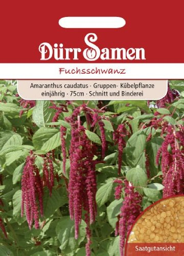 Dürr-Samen