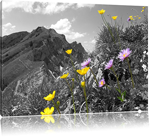 Pixxprint Traumhafte Blumenwiese im Frühling B&W, Größe: 60x40cm, Leinwandbild, fertig gespannt, Wandbild, Dekoration, Kunstdruck, kein Poster