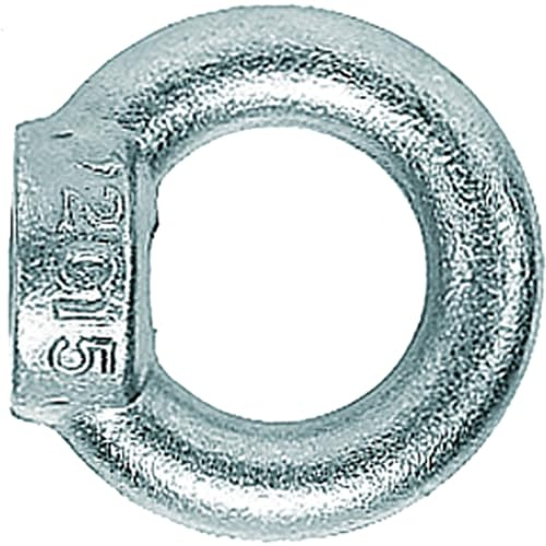 Fischer 80844 ringmutter RI M 12