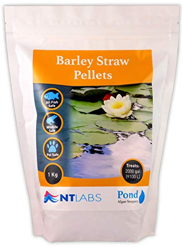 NT Labs Pond Algae Stopperz, Pond Barley Straw Pellets, Controls Green Water in Ponds, Natural Blanketweed Control, Improves Pond Water Quality (1kg)