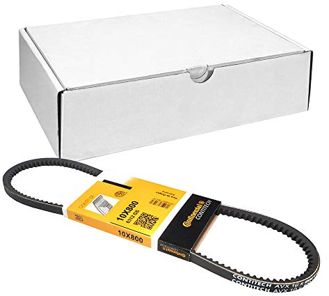 CONTITECH AVX10X800 Keilriemen