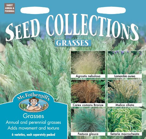 Mr Fothergill's Seeds Ltd 10151 Flower Seeds, Grasses Collection