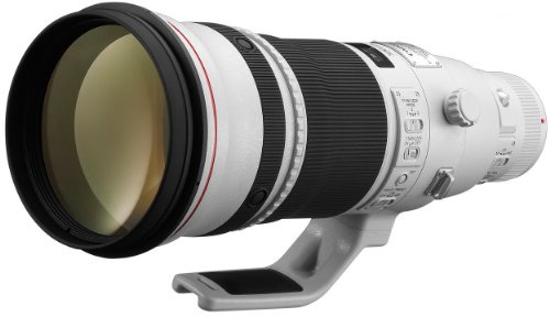 Canon EF 500mm f/4L is II USM Lens