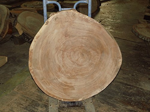 KJR Holzmanufaktur Baumscheibe, Holzscheibe,ca. 70x5 cm, Tischplatte, Eiche, geschliffen