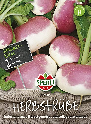 Sperli 82385 Herbstrübe Plessis F1-Hybride (Rübensamen)