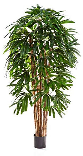 artplants.de Plastic Broadleaf Lady Palm, 6ft/180cm - Artificial Palm - Pool Decoration