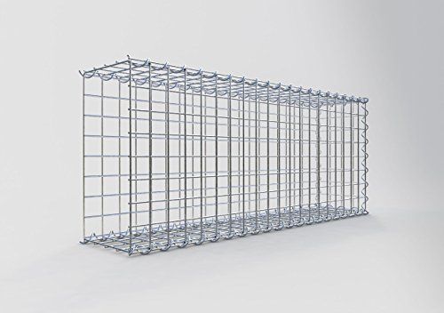 GABIONA Cesta de piedra de gavión rectangular, malla de 5 x 5 cm, profundidad de 20 cm, cesta de cultivo tipo 2, cierre de espiral, galvanizado (100 x 40 x 20 cm)