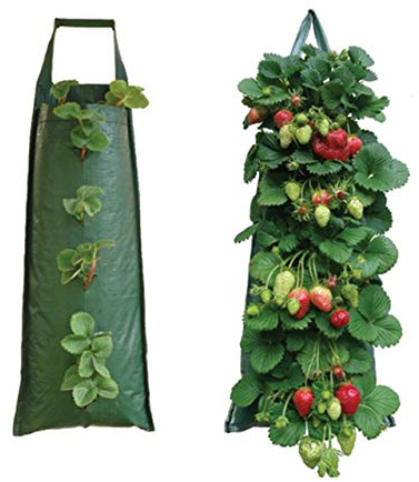 Nutley's Hanging Strawberry Flower Bag Planter Pouch grow fruit herbs flowers UV treated