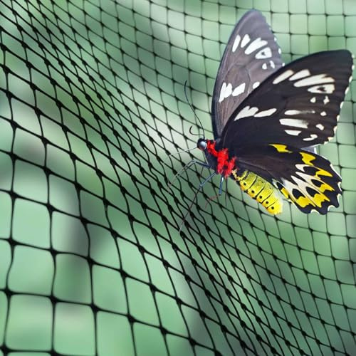 Elixir Gardens Butterfly & Insect Fruit Cage Netting | UV Resistant Plastic Fine Mesh Net for Vegetable, Flower & Plant Protection/Cover | 2m or 4m Wide | 1m - 150m Length (2m x 020m)