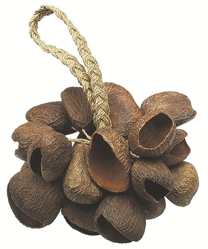 TOCA TO804444 Seed Shell Shaker