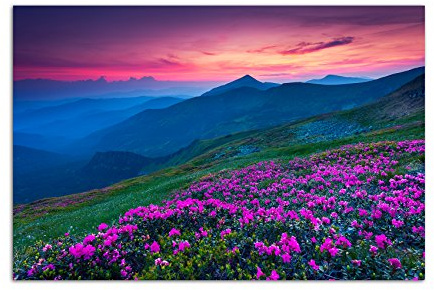 Augenblicke Wandbilder 120x80cm - Fotodruck auf Leinwand und Rahmen Alpenrosen Wiese Berge Landschaft - Leinwandbild auf Keilrahmen modern stilvoll - Bilder und Dekoration