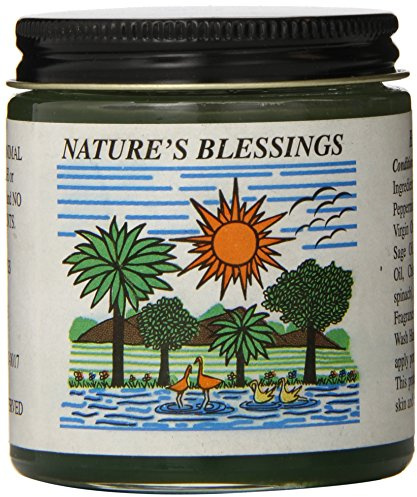 Nature's Blessings Hair Pomade 4 oz. by House of Nubian Inc