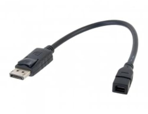 Chenyang DisplayPort mâle vers mini DP DisplayPort femelle câble 30 cm iMac Cinema Display BK
