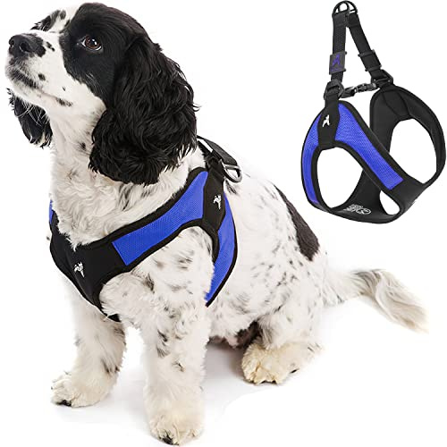 Gooby Escape Free Easy Fit Dog Harness, Step-in, Blue, Small