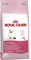 Royal Canin 55103 Kitten 10 kg - Katzenfutter