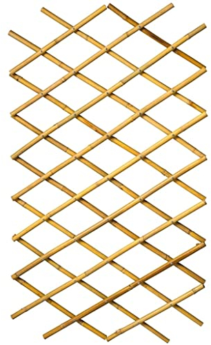 Nature Palissade de Jardin Bordure de Jardin Extensible 100 x 200 cm Bambou