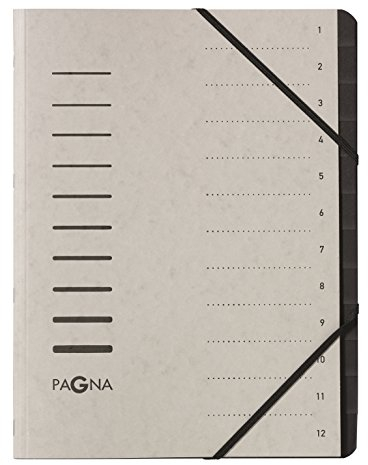 Pagna 40059-21 Ordnungsmappe 12 Fächer, hellgrau