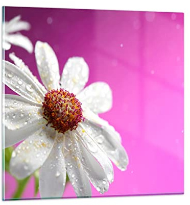 Moderno Quadro in Vetro 40x40 cm Stampe da Parete Botanica Fiori - 2469 | Fiore Primavera Giardino Quadro Decorativo Piccolo Decorazione Murale Soggiorno Arte da Parete Decorazione da Parete ARTTOR