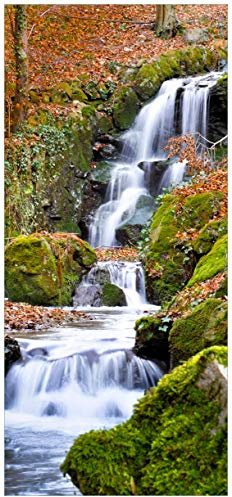 Wallario Selbstklebende Türtapete Bach im Wald - Türposter 93 x 205 cm Abwischbar, rückstandsfrei zu entfernen