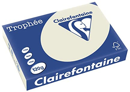 Clairefontaine 1201C - Ries mit 250 Blatt Druckerpapier / Kopierpapier Trophée, DIN A4 (21x29,7 cm), 120g, Perlgrau Pastellfarbe, 1 Ries
