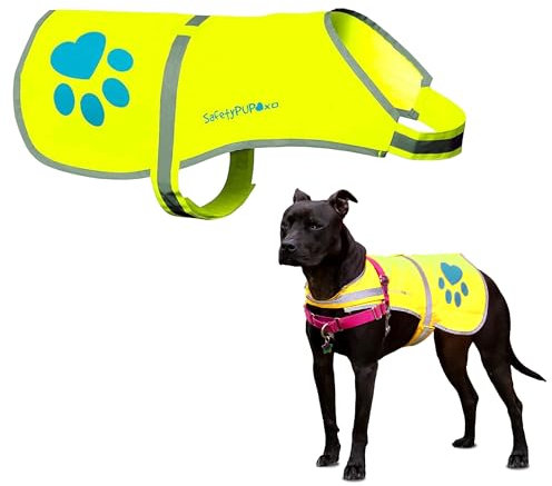 SafetyPUP XD Hund Warnweste, Größen passen Hunde 14 lbs bis 130 lbs Neon Gelb Mittel