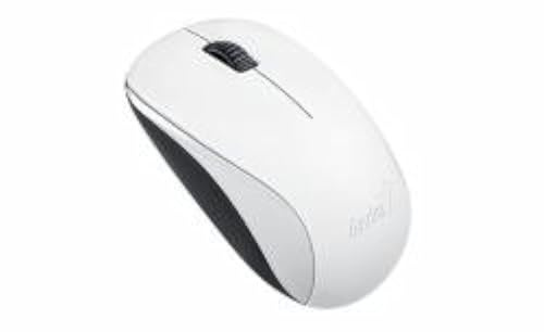 Genius NX-7000 RF inalámbrico BlueEye 1200dpi ambidextro Blanco – Ratón (RF inalámbrico, Oficina, Botones pressoirs, Rueda, BlueEye, 1200 dpi)